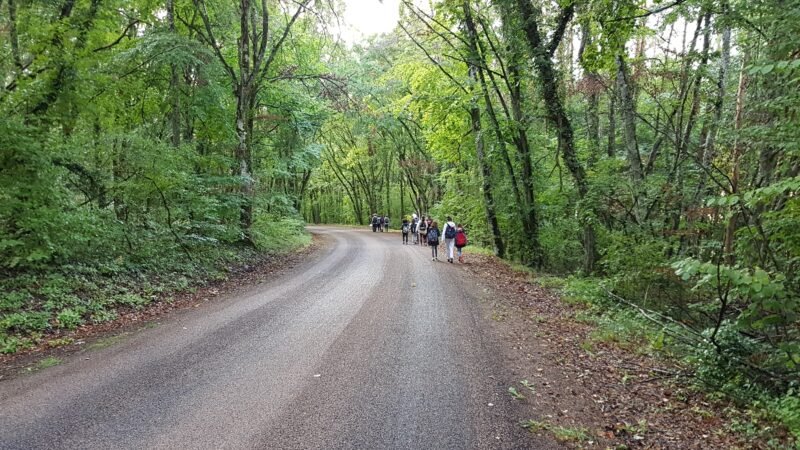 Jour 2 – Voyage de la classe EPPIC en Bourgogne médiévale