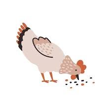 Lire la suite à propos de l’article Pourquoi les poules mangent-elles des cailloux ?