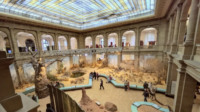 Voyage en Allemagne 2025 – Jour 2