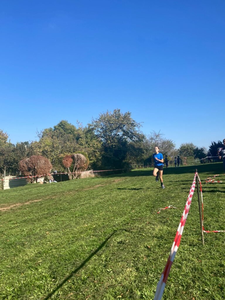 Cross 2025-2026 - 50