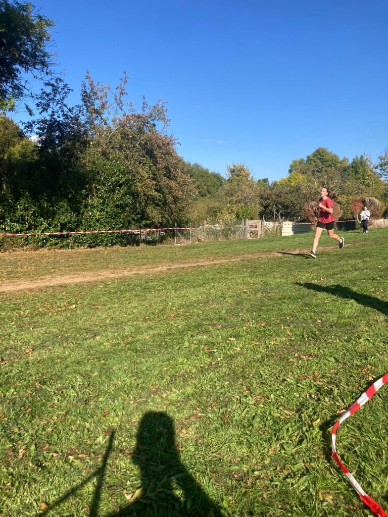 Cross 2025-2026 - 80