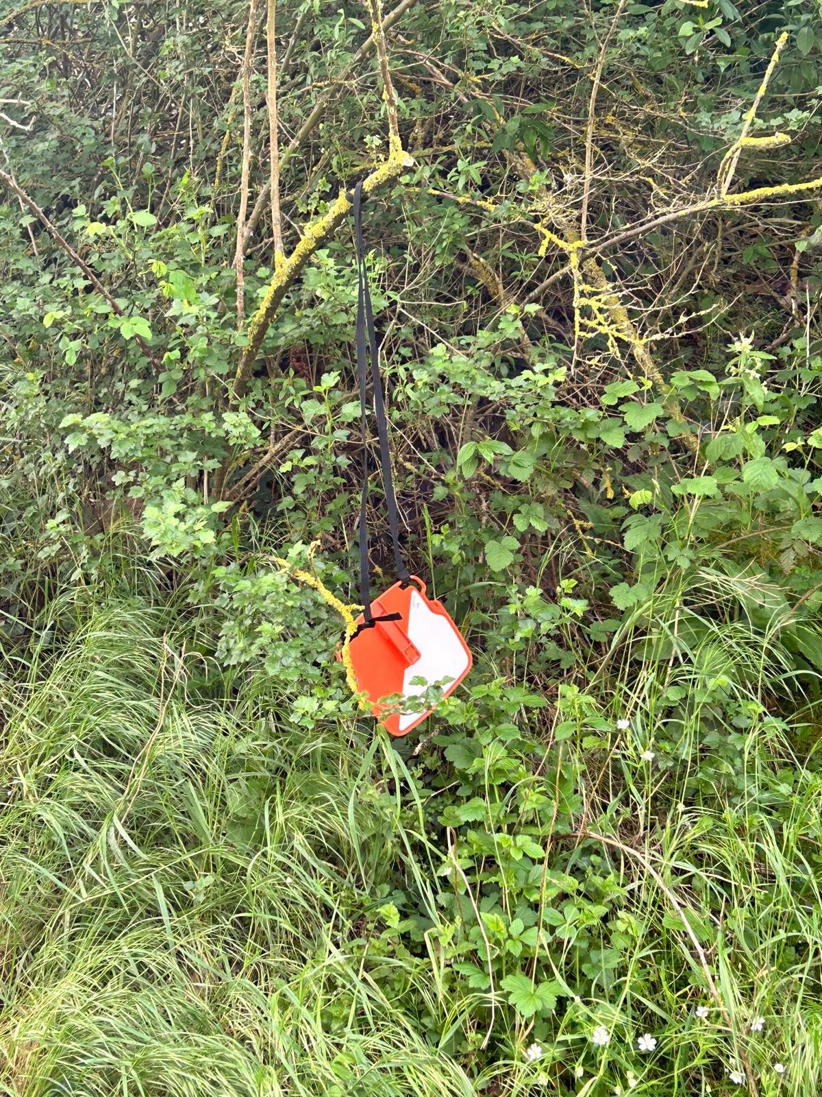 Dernière journée du voyage pédagogique à Saint-Lary-Soulan avant le retour au collège